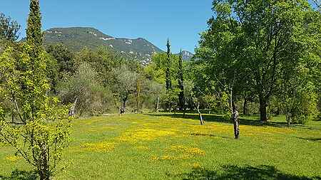 Magnífica finca en venta, situada en la Garrotxa. - 18