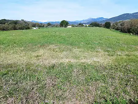 Terreno de cultivo, situado a las afueras de Tortellà. - 3