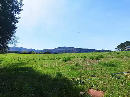 Terreno de cultivo, situado a las afueras de Tortellà. - 1