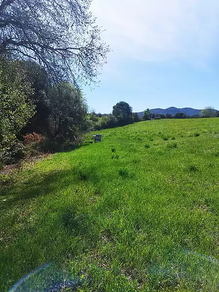 Cultivated land located on the outskirts of Tortellà. - 4