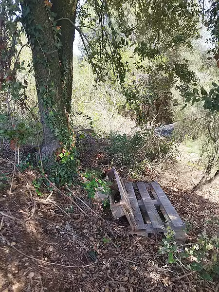 Terreno de cultivo, situado a las afueras de Tortellà. - 6