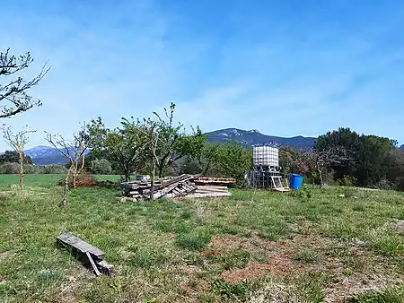 Bonic terreny de cultiu, situat a les afores de Tortellà. - 7