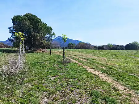 Terreno de cultivo, situado a las afueras de Tortellà. - 0