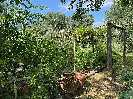 Acogedora finca en venta, situada en el pueblo de Tortellà. - 31