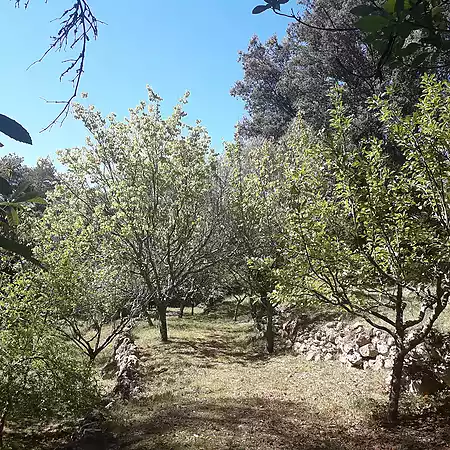 Ruïna en venda, situada a Sales de Llierca - 7