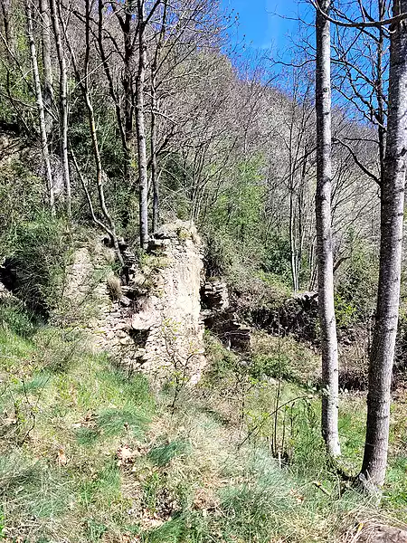 Ruïna en venda, situada al Ripollés. - 2