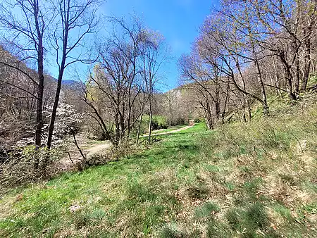 Ruïna en venda, situada al Ripollés. - 3